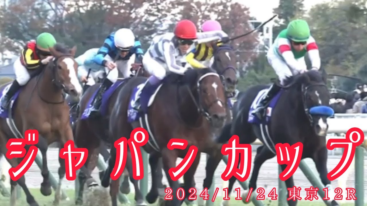 2024/11/24  東京12R　　ジャパンカップ　　#ドウデュース