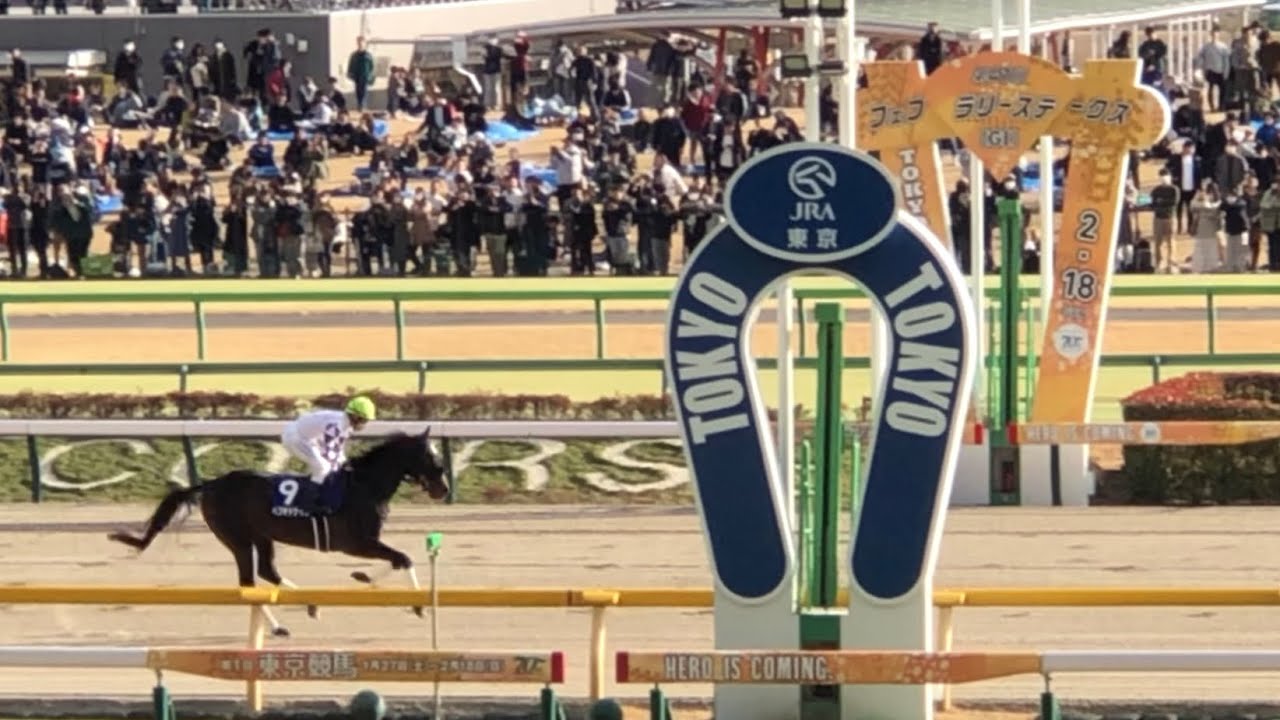 2024 フェブラリーS 本馬場入場・返し馬 ペプチドナイル 他