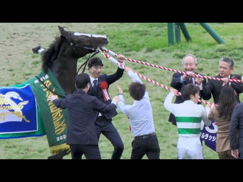 【マイルチャンピオンシップ2024】 ソウルラッシュ口取りで綱引きをする 表彰式～団野騎手・勝利インタビュー 現地映像