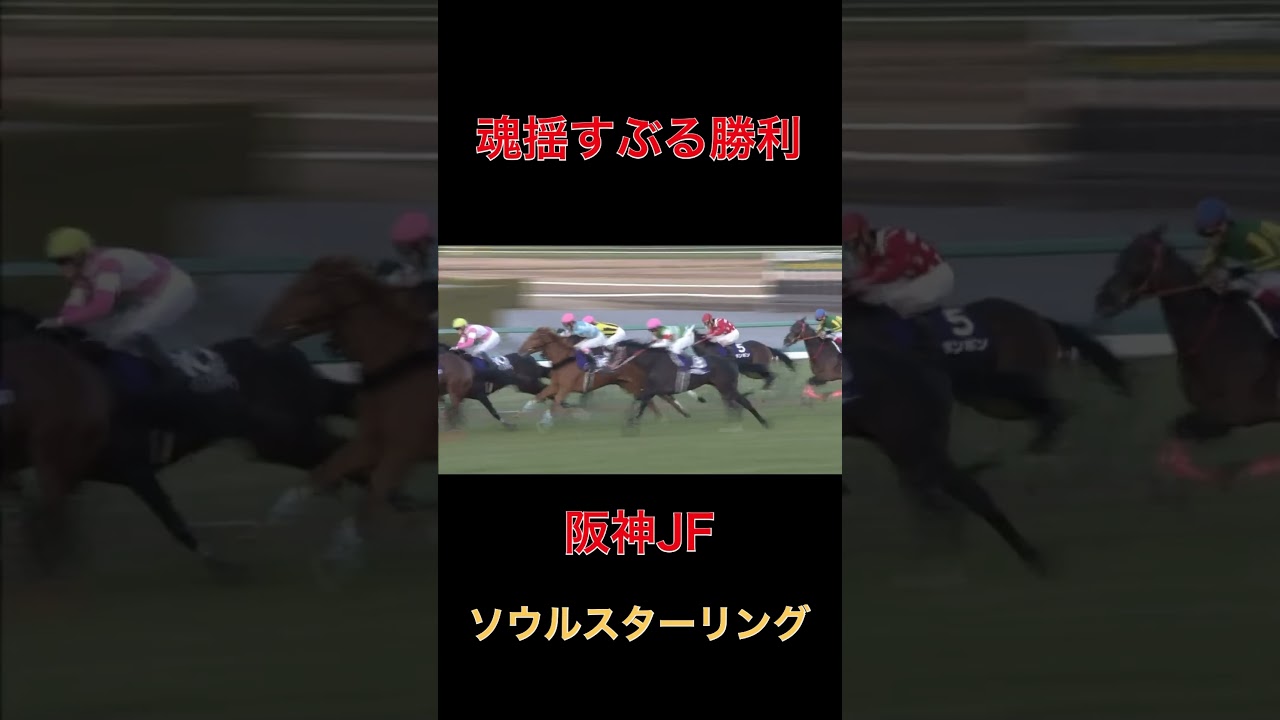 魂揺すぶる勝利ソウルスターリング【阪神JF】#競馬#阪神ジュベナイルフィリーズ