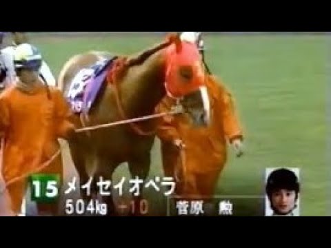 第17回　フェブラリーステークス（ＧⅠ）パドック　2000.2.20　　出走馬：ウイングアロー、ゴールドティアラ、ファストフレンド、メイセイオペラ、セレクトグリーン、オースミジェット他