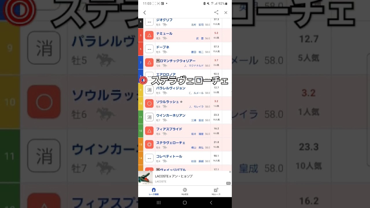 #安田記念◎ステラヴェローチェ#中央#東京競馬予想動画#安田記念2024#shorts