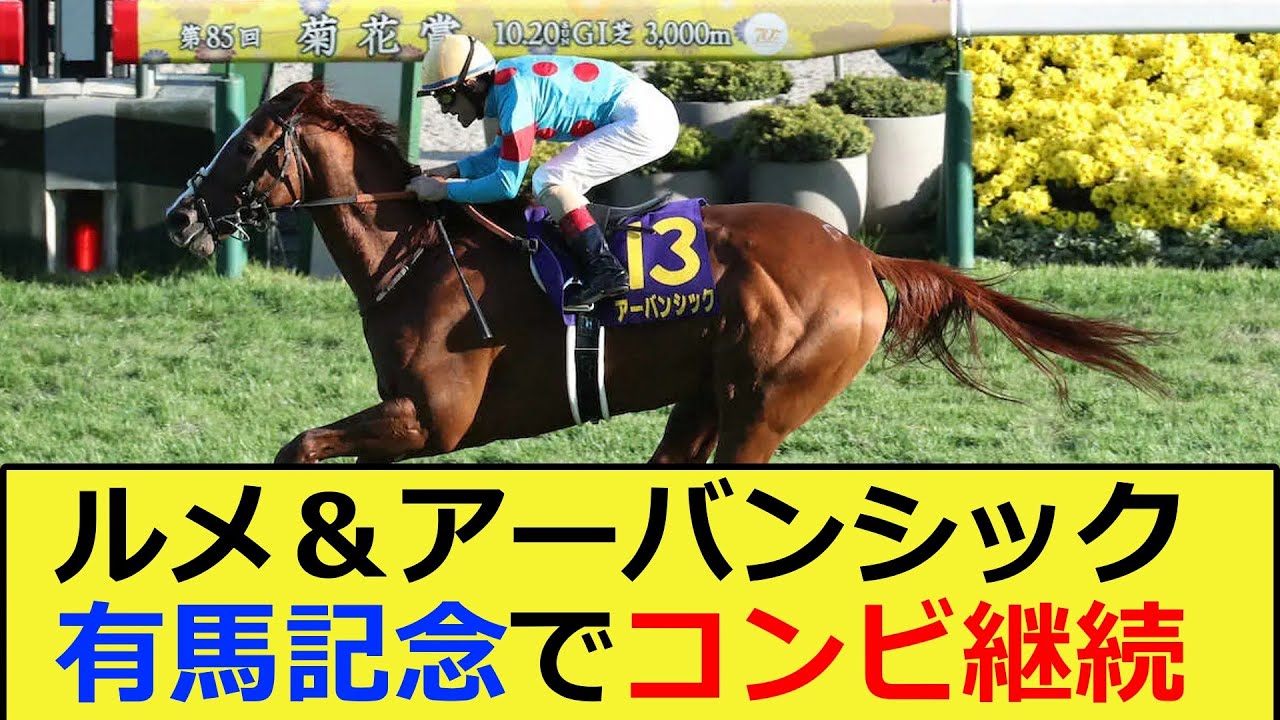 【競馬】ルメール＆アーバンシック、有馬記念でコンビ継続に対する反応集【競馬の反応集】