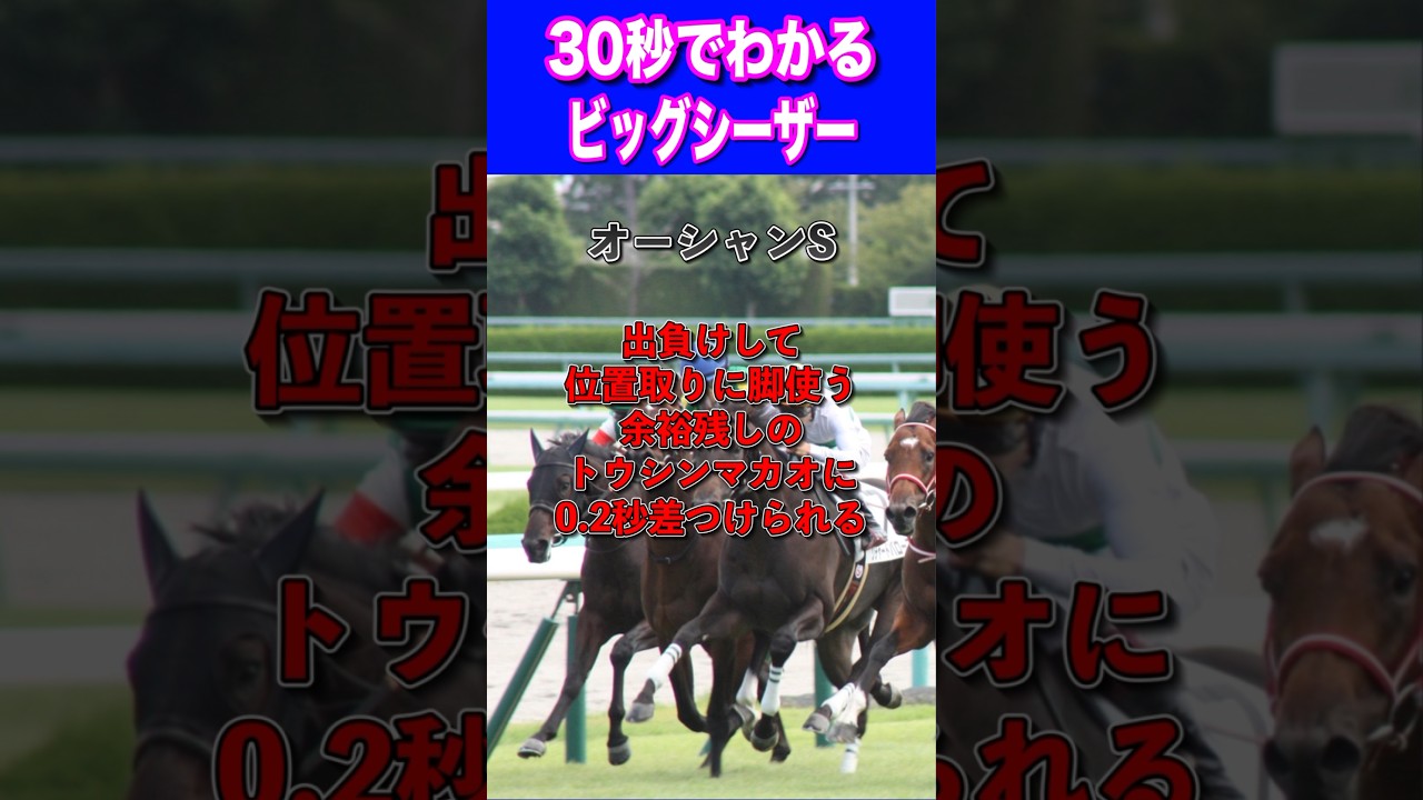 【高松宮記念2024】30秒でわかるビッグシーザー