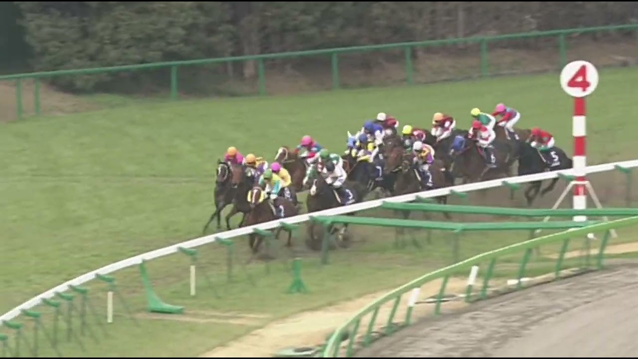 ラインクラフト 2006年 第36回高松宮記念(GI) (優勝馬：オレハマッテルゼ)