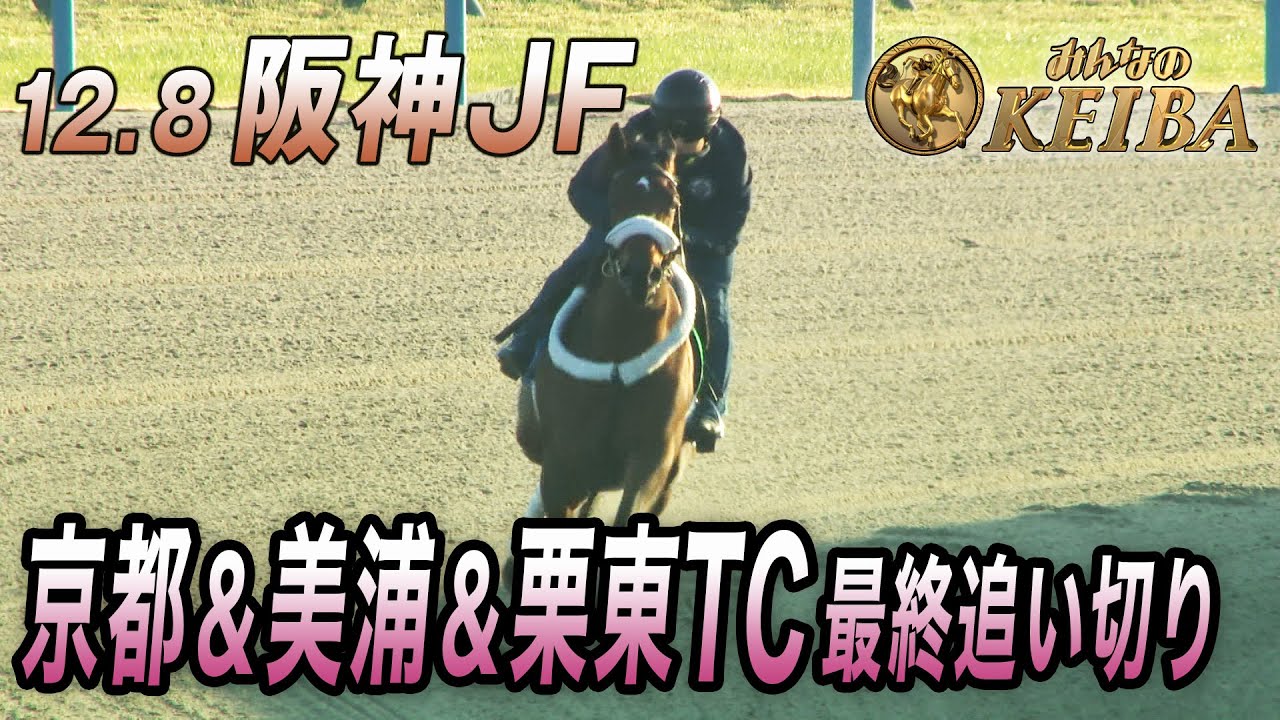【12.8 阪神JF 2歳女王】2025年ヒロインへ！今年はアメリカからメイデイレディが参戦！
