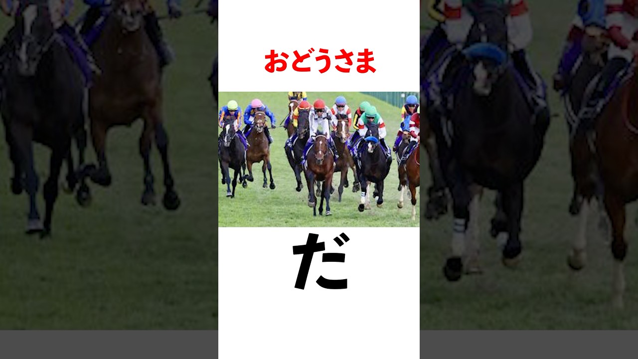 【祝J C優勝】おどうさまへのメッセージをコメント欄でお聞かせください#ドウデュース　#ジャパンカップ2024