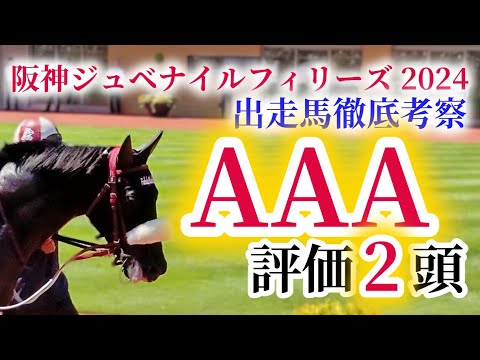 【阪神ジュベナイルフィリーズ2024 予想】覚悟のある方だけご視聴ください。GⅠ級のパフォーマンスを示した馬を高評価！『メイデイレディ』の短評もあります！阪神JFを徹底考察！