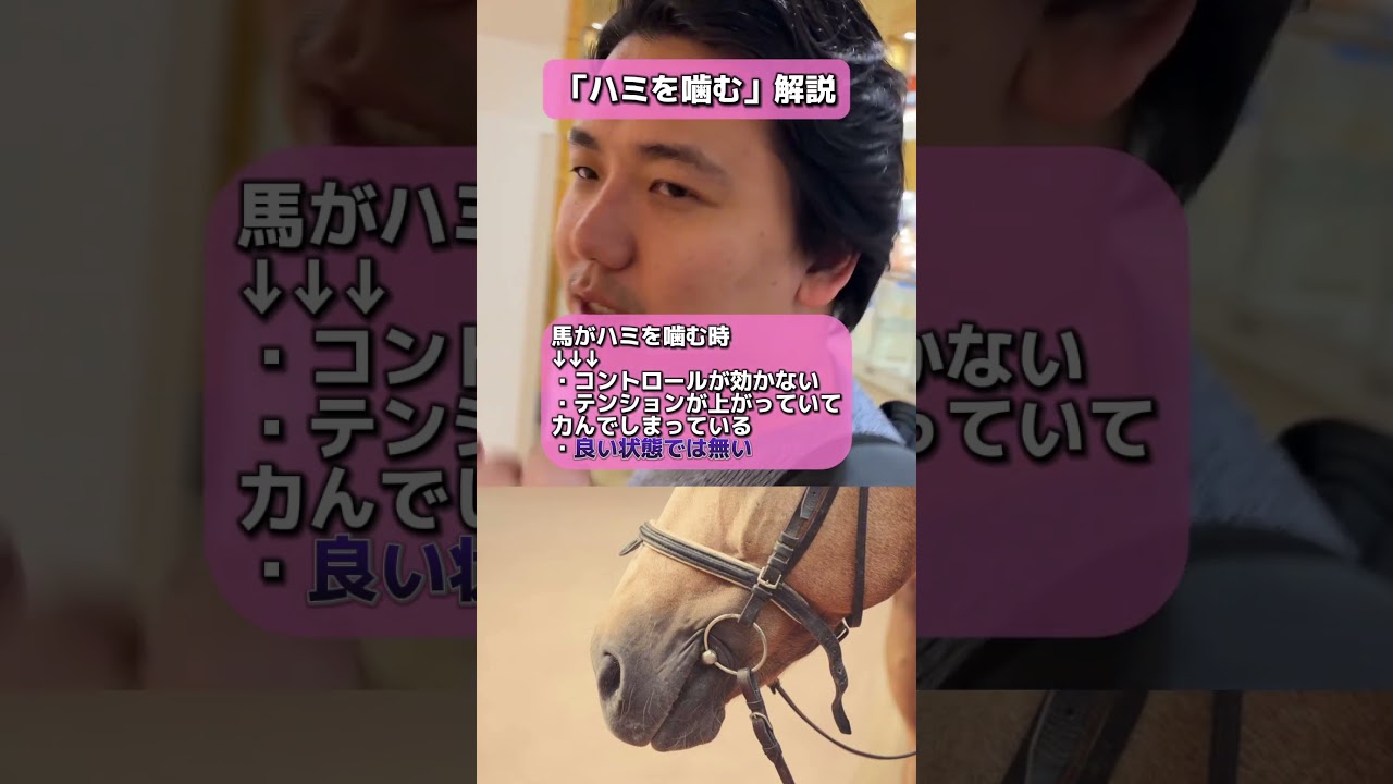 【競馬】【競馬用語】「ハミを噛む」について元JRAジョッキー義英真が解説！#阪神ジュベナイルフィリーズ #カペラステークス #朝日杯フューチュリティステークス