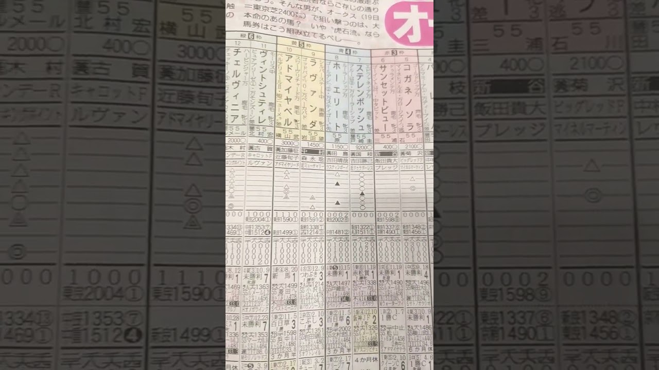 競馬予想(オークス)