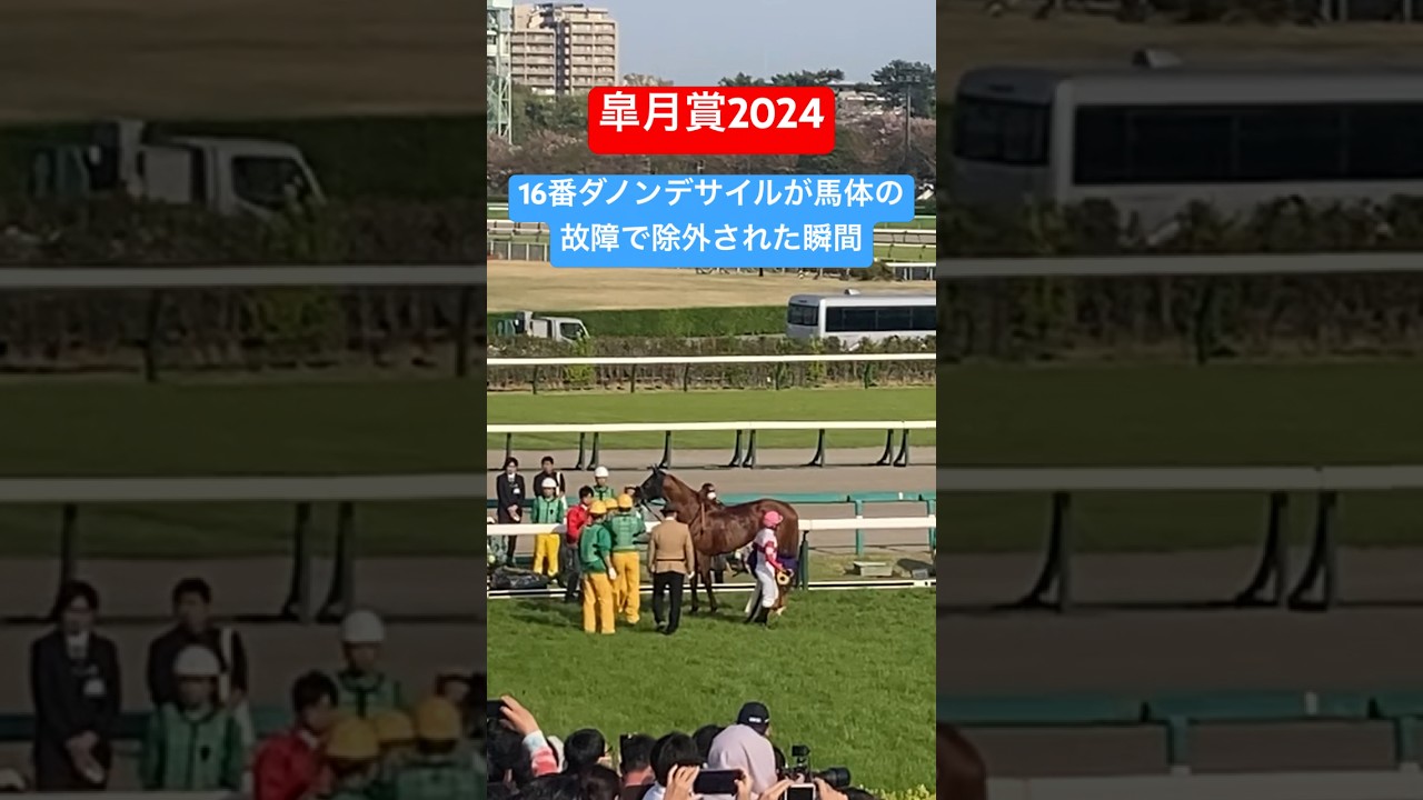 【皐月賞2024】 16番ダノンデサイルが馬体の故障でゲート前で除外される。　#皐月賞　#皐月賞2024 #ダノンデサイル