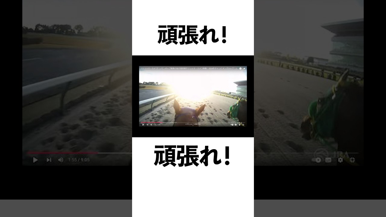 【レモンポップ】がんばれ！と応援しながら乗る坂井瑠星#チャンピオンズカップ2024