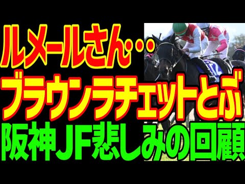 【岩田望来G1初制覇】アルマヴェローチェは桜花賞や来年のクラシックで羽ばたけるのか！？本命ブラウンラチェット、メイデイレディ惨敗！？逆神芸！？2024年阪神JF回顧動画【私の競馬論】【競馬ゆっくり】