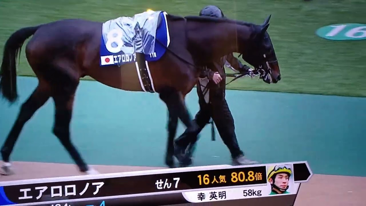 安田記念2024  パドック途中まで   競馬