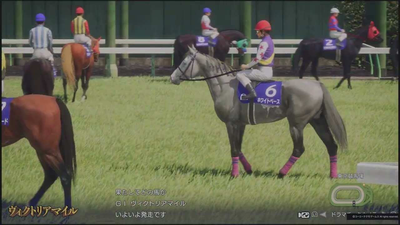 1993年 ヴィクトリアマイル