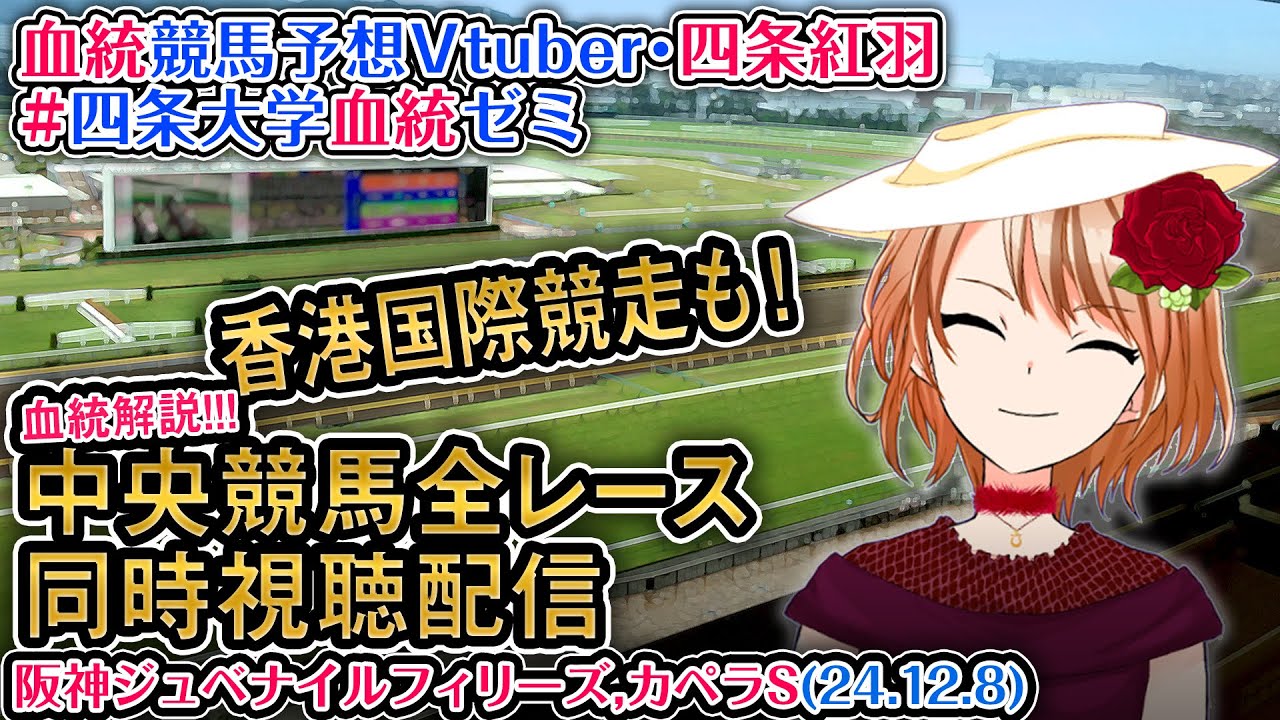 【競馬同時視聴配信】阪神JF・香港国際競走 2024 G1 ほか全R対象 四条大学血統ゼミ
