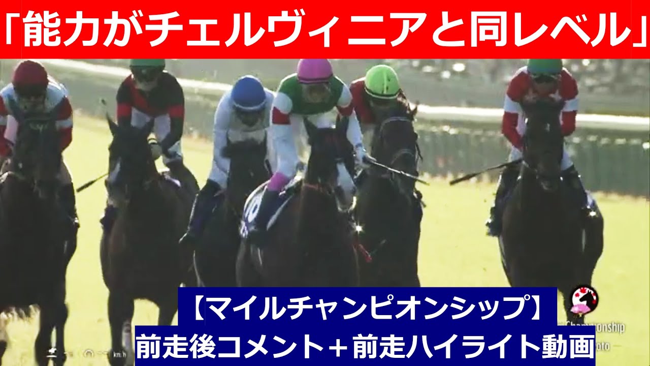 推奨馬⑤頭！【マイルチャンピオンシップ　2024】前走後騎手コメント＋過去レースハイライト