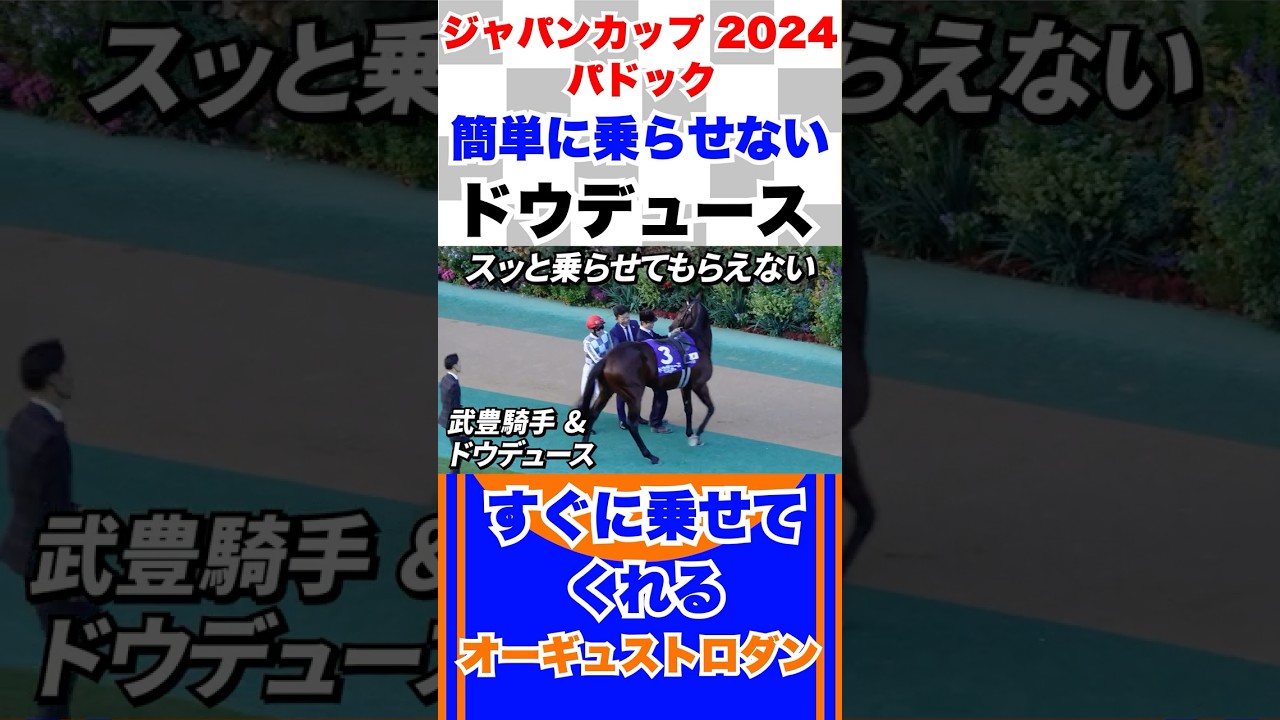 簡単に乗らせて くれないドウデュース【ジャパンカップ2024 パドック】