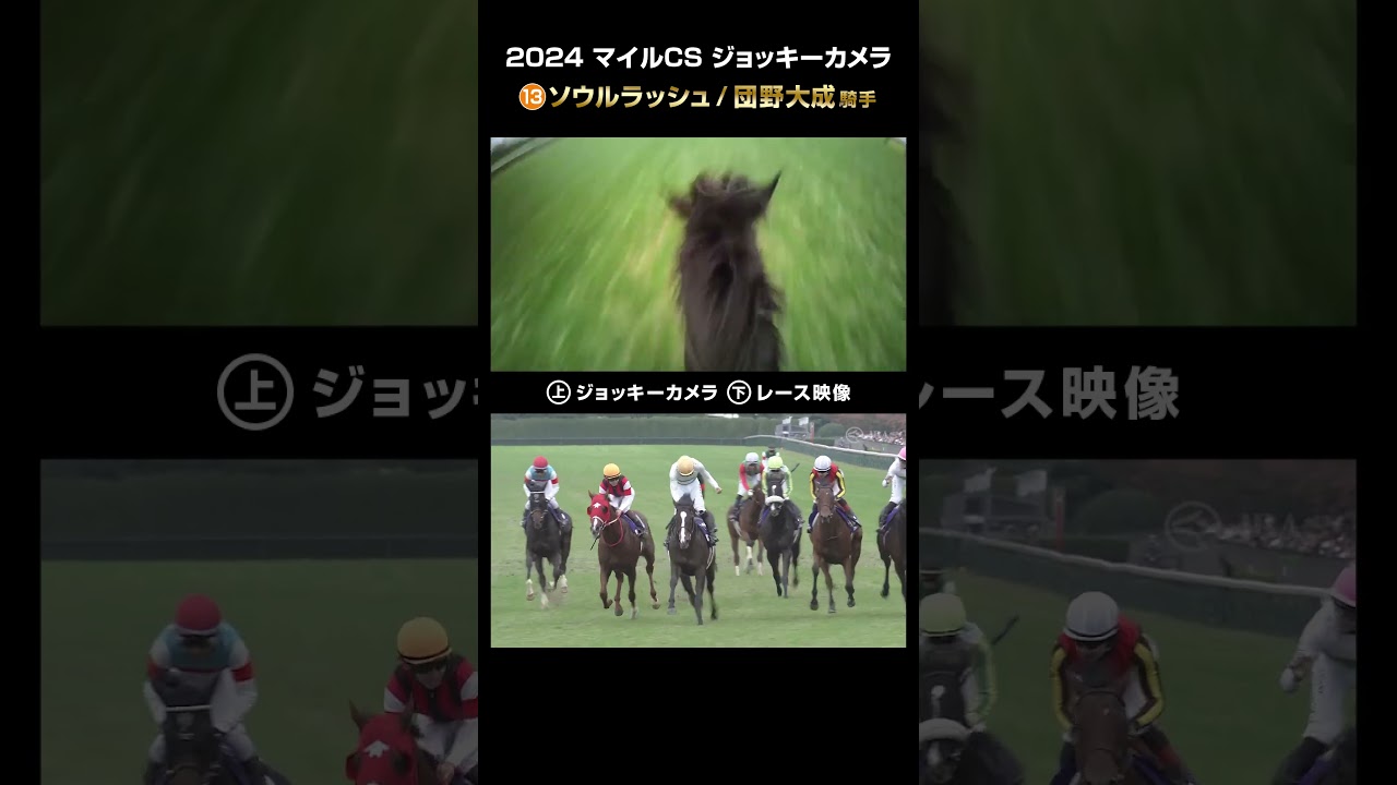 【ジョッキーカメラ×レース映像】2024年 マイルチャンピオンシップ ソウルラッシュ 団野大成騎手 #shorts ｜JRA公式