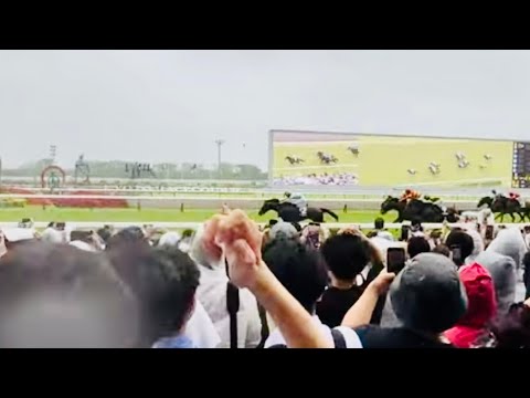 【宝塚記念2024】菅原ジョッキー初G1勝利！ 「アキラが勝ったぁ」と叫ぶねき 4K 現地映像