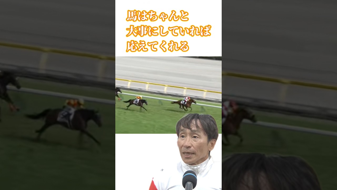 命の尊さを 〜 第91回日本ダービー　#全人馬無事に #横山典弘 #ダノンデサイル #スキルヴィング #競馬