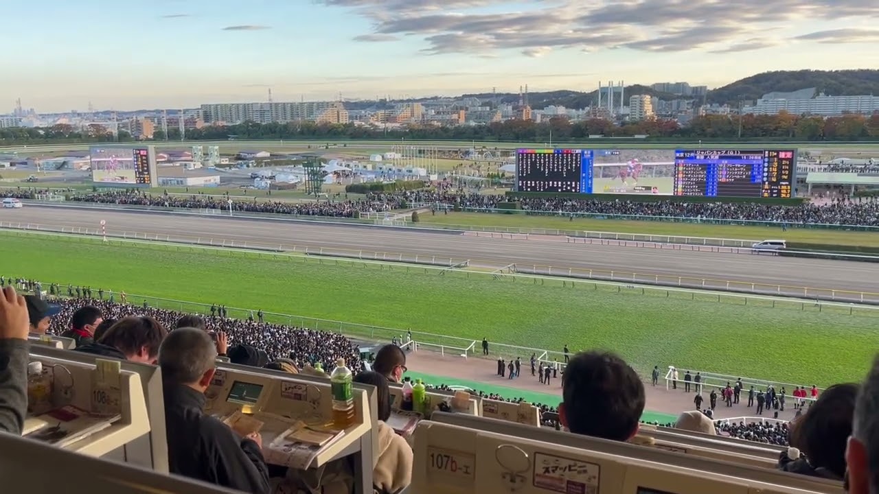 【指定席Aからの景色】ジャパンカップ2024 本馬場入場 ドウデュースの歓声デカすぎ【東京競馬場】