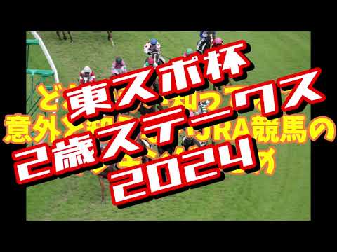 ホープフルステークスのステップレース。データに見る東京スポーツ杯2歳ステークス2024まとめ