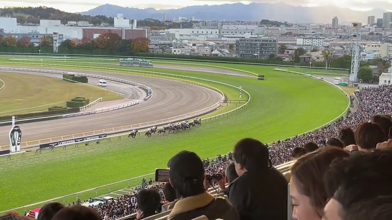 【指定席Aからの景色】ジャパンカップ2024(撮影者: ソールオリエンス 同行者: ドウデュース )応援【東京競馬場】
