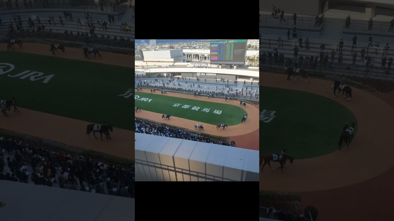 2024高松宮記念#推奨馬