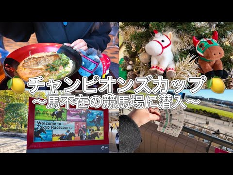 【競馬初心者女子】馬不在の競馬場へ潜入調査した結果　チャンピオンズカップ