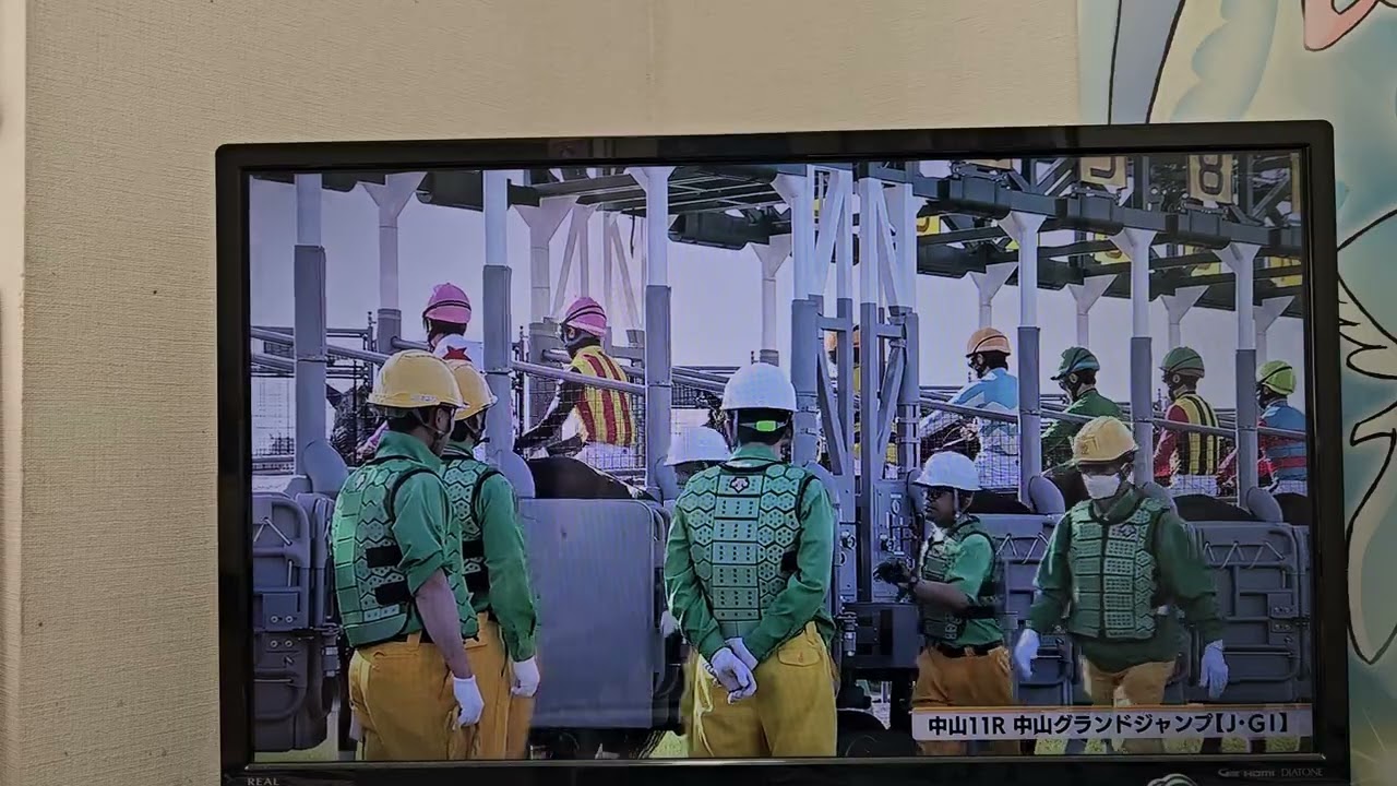 競馬収録放送 第26回中山グランドジャンプ(ジャンプGⅠ)