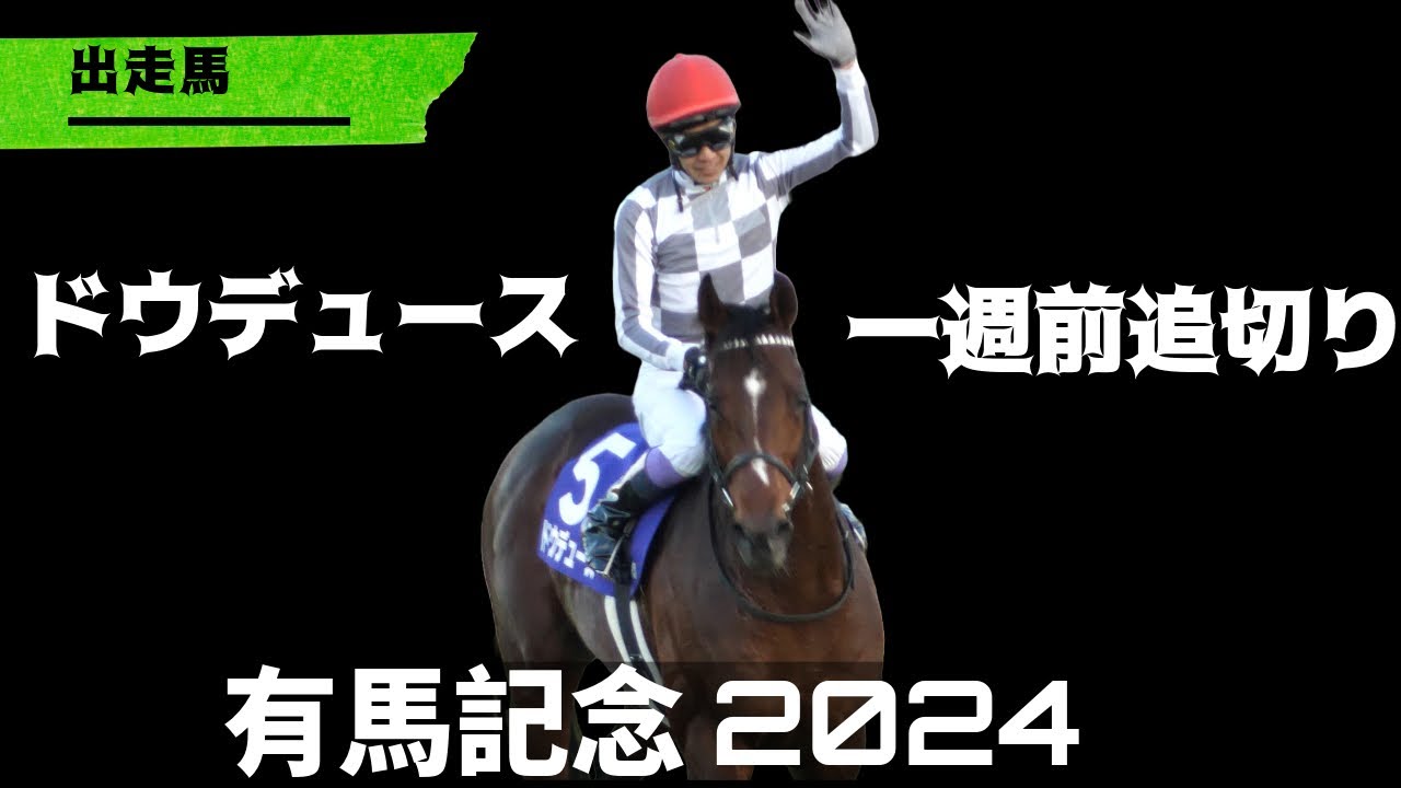 【武豊】ドウデュース 有馬記念一週前追い切り！相変わらず絶好調をキープ！プールもモリモリ泳ぐ