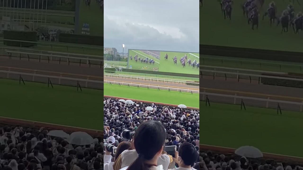 2024/6/2 東京11R 安田記念 現地の雰囲気 #競馬 #安田記念2024 #安田記念 #ロマンチックウォリアー