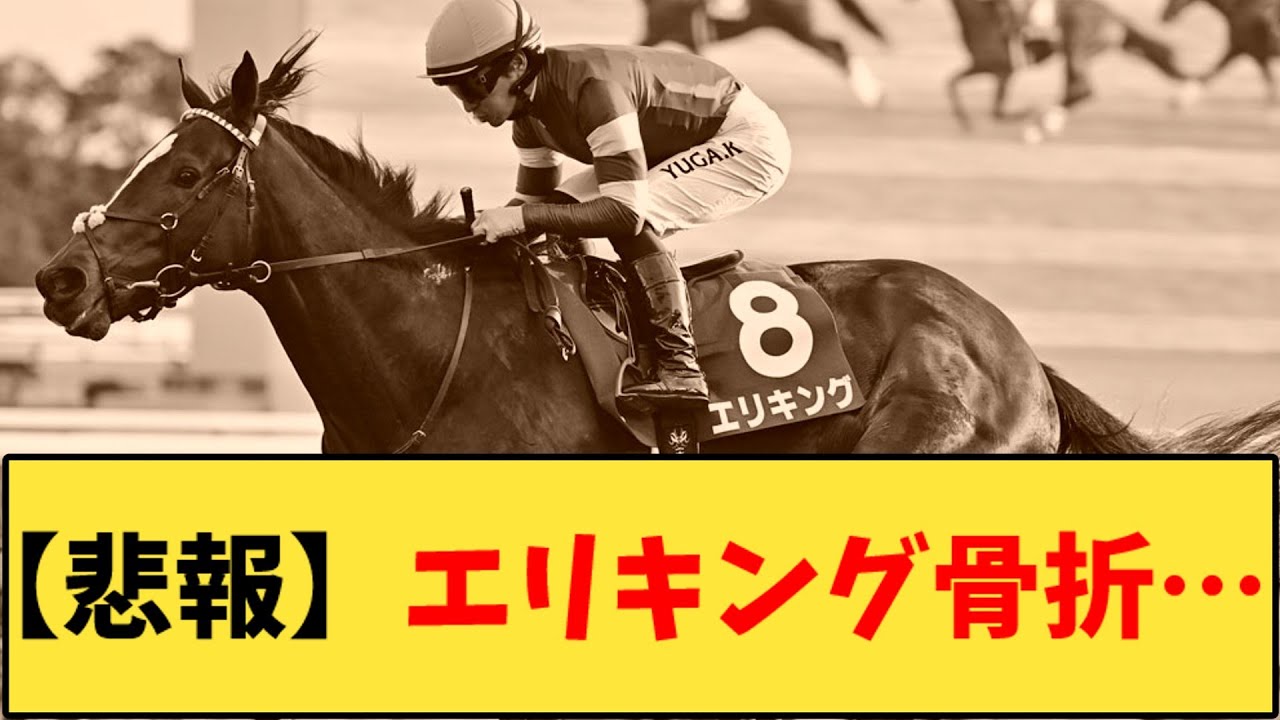 【競馬】「【悲報】エリキング 右第1指骨剥離骨折…」に対する反応【反応集】
