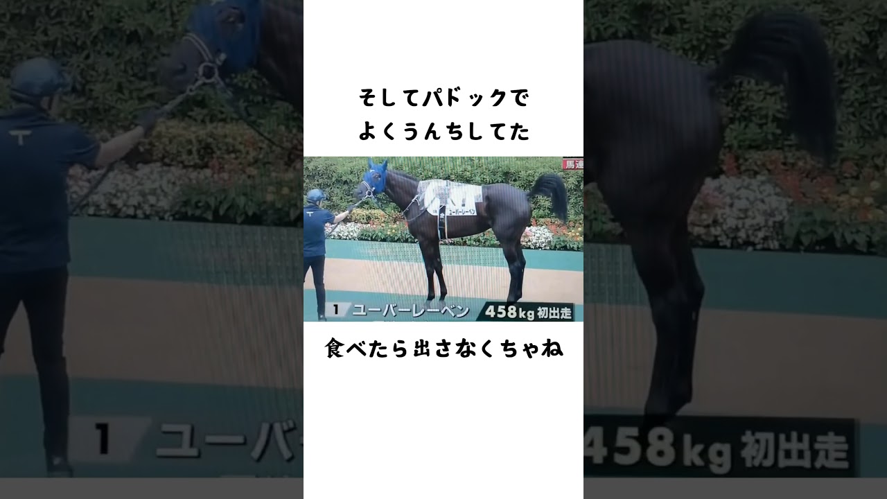 ゴルシ産駒ユーバーレーベン、産駒初のG1制覇!! 樫の女王は最大のライバル純白の女王に勝利した。 #ユーバーレーベン #オークス #競馬 #ゴルシ産駒 #優駿牝馬