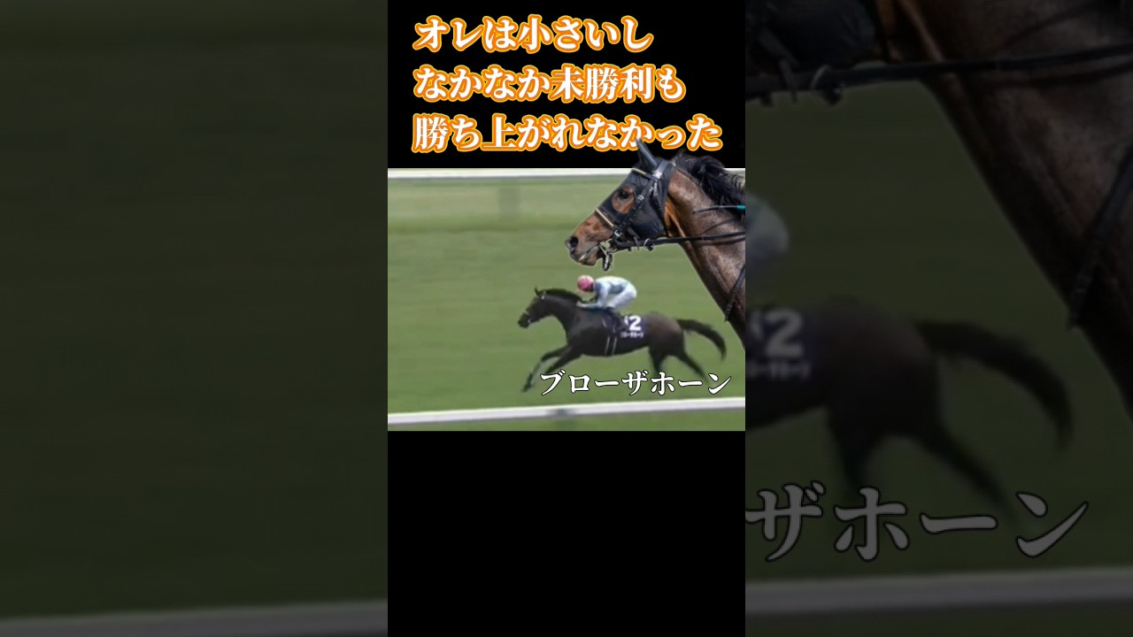 雨上がりの空へ〜宝塚記念'24  #競馬 #exショートアニメ