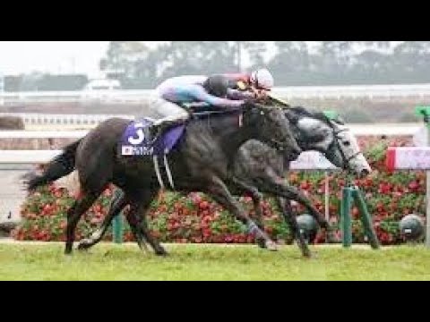 高松宮記念　芝1200m (左 B) 　マッドクール　牡5　58.0　坂井瑠星　2024.3.24　　出走馬：ナムラクレア、ビクターザウィナー、ウインカーネリアン、ロータスランド、トウシンマカオ他