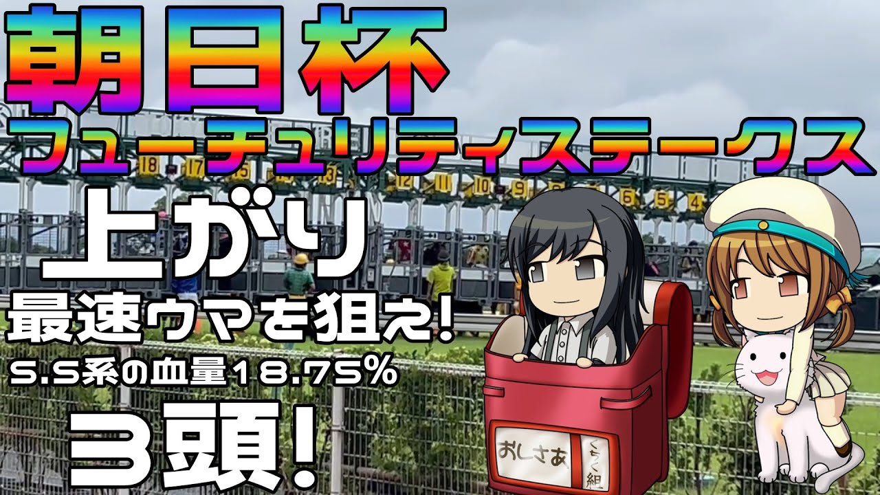 激荒れ！【2024年朝日杯フューチュリティステークスゆっくり競馬予想】京都連続開催で芝ボロボロ！上がりの速いウマを狙え！レース上がりを1秒も上回るウマが２頭！