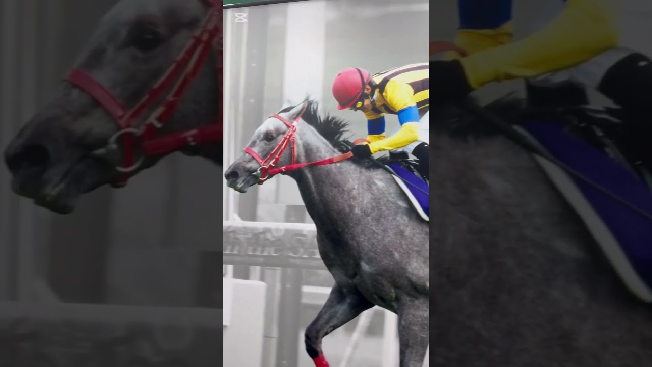 中山競馬場へ！　皐月賞の歴代！！#中山競馬場 #子供も楽しめる#家族でおでかけ#shorts