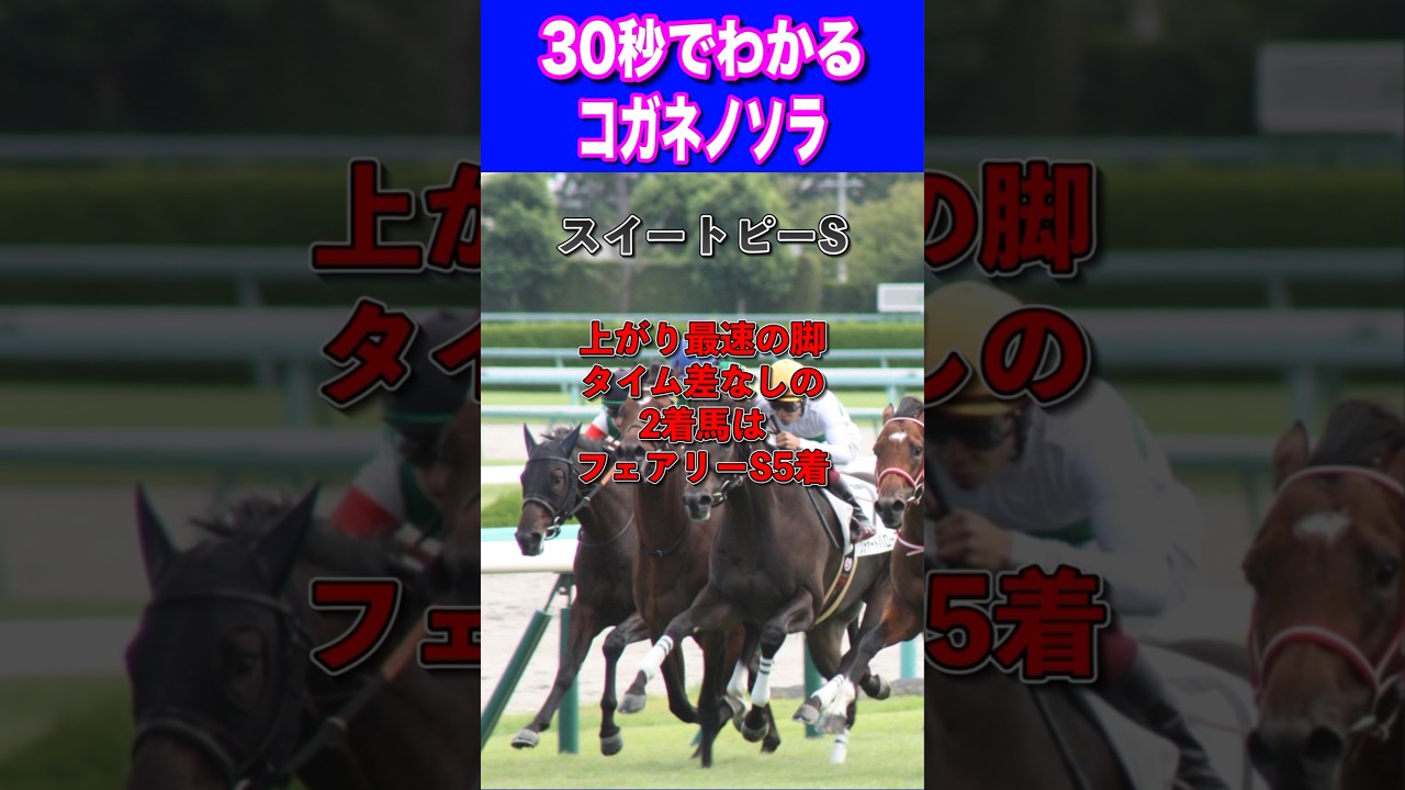【オークス2024】30秒でわかるコガネノソラ