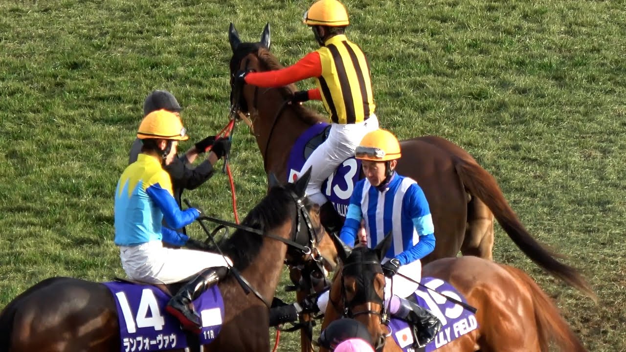 【阪神JF2024】本馬場入場 コートアリシアンがバックしてきて後ろにいた武豊は苦笑い クリノメイは荒ぶる‼ 現地映像 アルマヴェローチェ