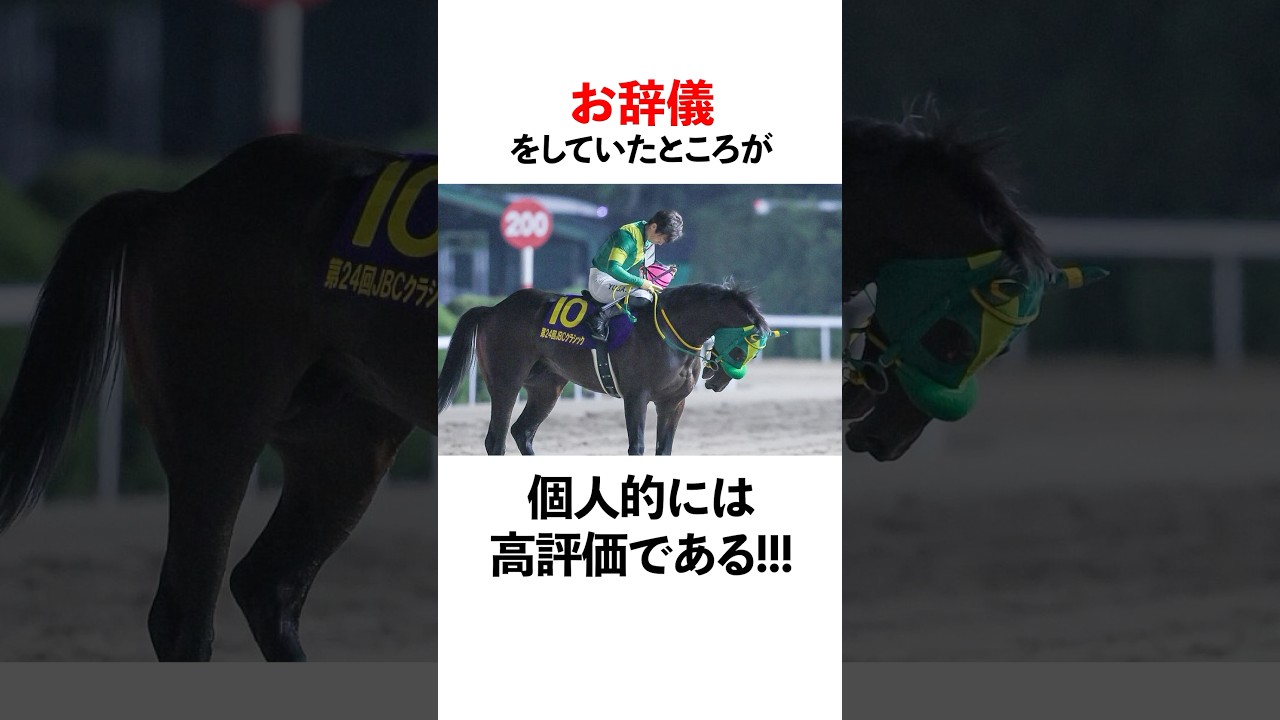 ウィルソンテソーロの面白い雑学#チャンピオンズカップ