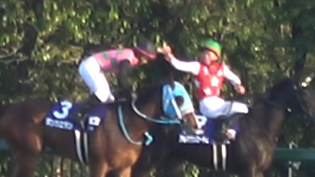 【現地】2024 G1 阪神JF アルマヴェローチェ 岩田 望来 嬉しい初G1制覇 同期の団野大成騎手とハイタッチ【阪神ジュベナイルフィリーズ】