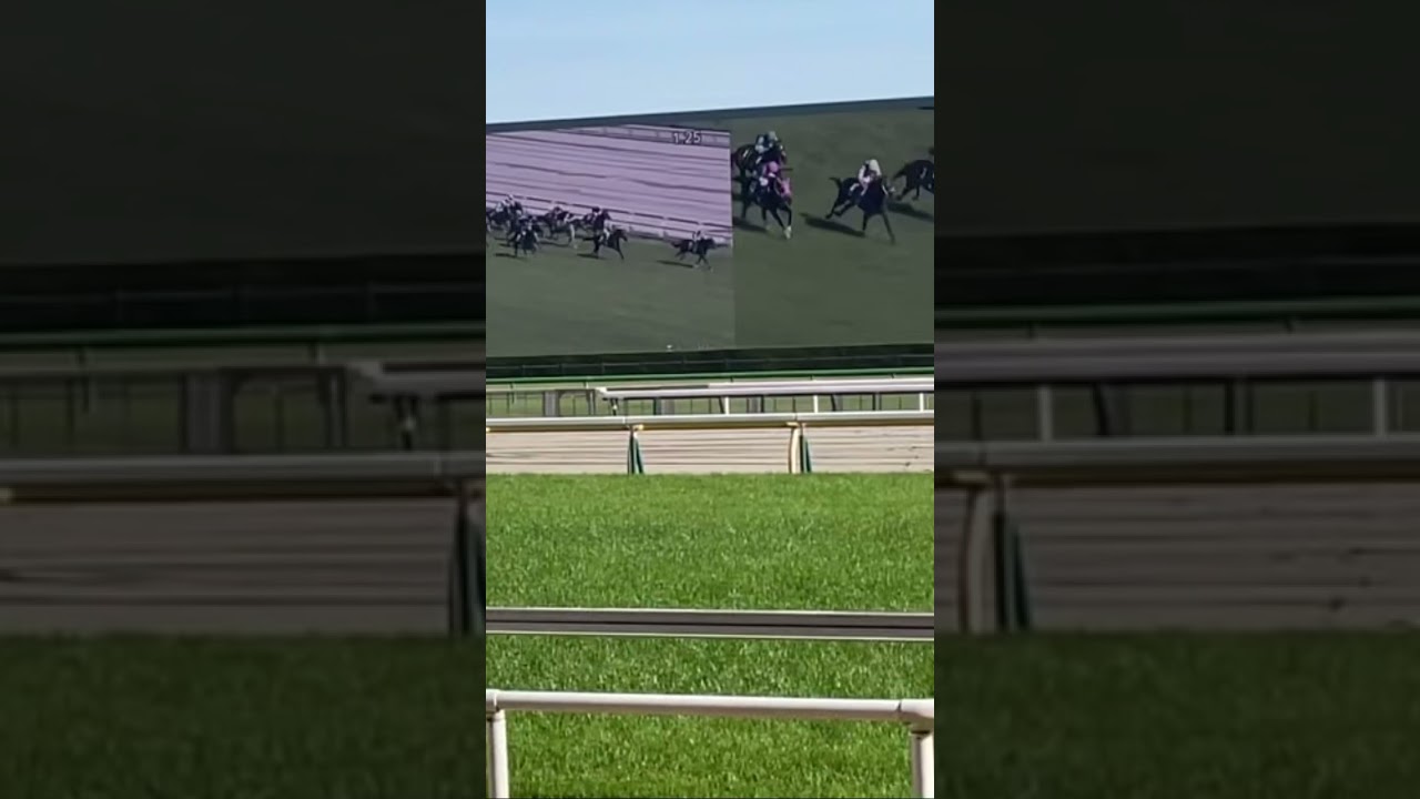 【現地撮影動画】NHKマイルカップ（2024）ジャンタルマンタル 川田将雅騎手 最後の直線