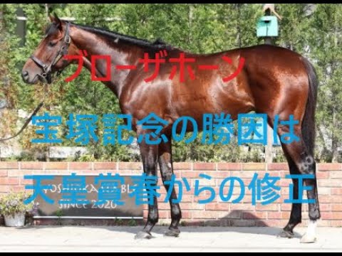 宝塚記念回顧 明暗を分けた騎乗 武豊２つの過ち ドウデュースは終わったのか？