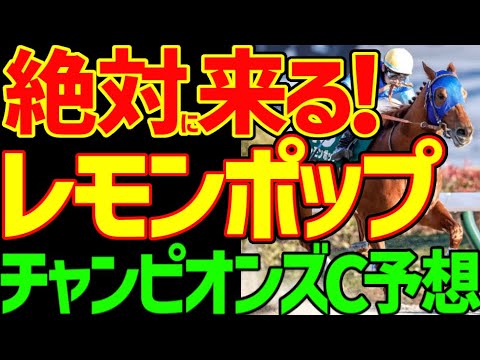【チャンピオンズC予想】レモンポップが衰えてる？そんなことはない！ウィルソンテソーロ、ペプチドナイルは危険！ガイアフォースも！？2024年チャンピオンズカップ予想動画【私の競馬論】【競馬ゆっくり】