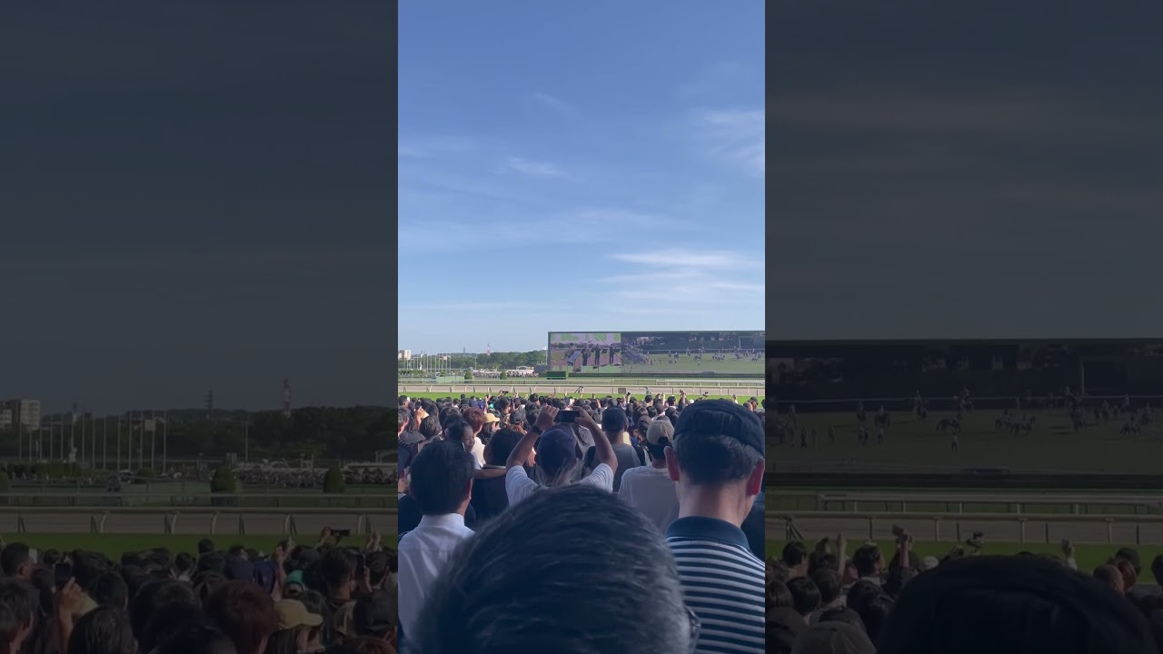 NHKマイルカップ2024 ファンファーレ #競馬