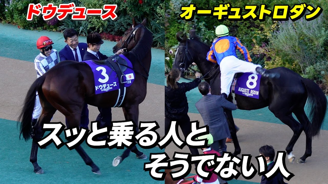 スッとは乗らせてくれないドウデュース（ジャパンカップ　パドック）