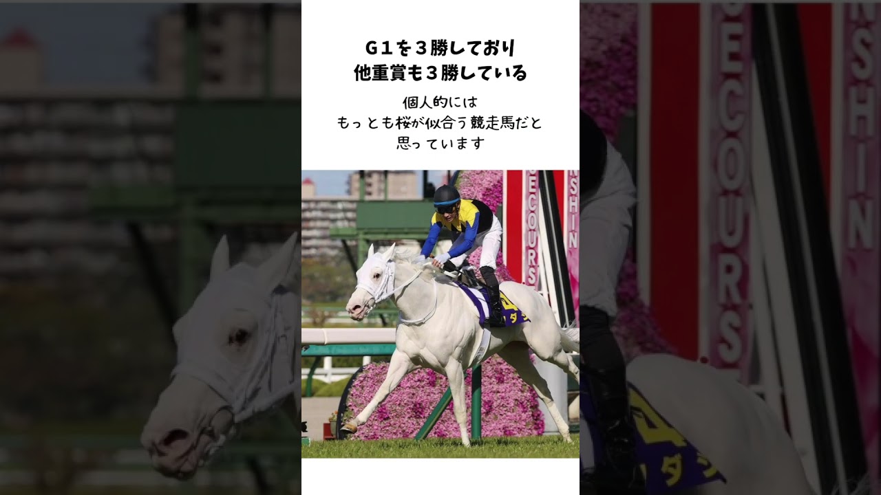 可愛いすぎるアイドルホース・ソダシを紹介！　 #競馬　＃桜花賞　＃白毛一族　＃メイケイエール　＃アイドル
