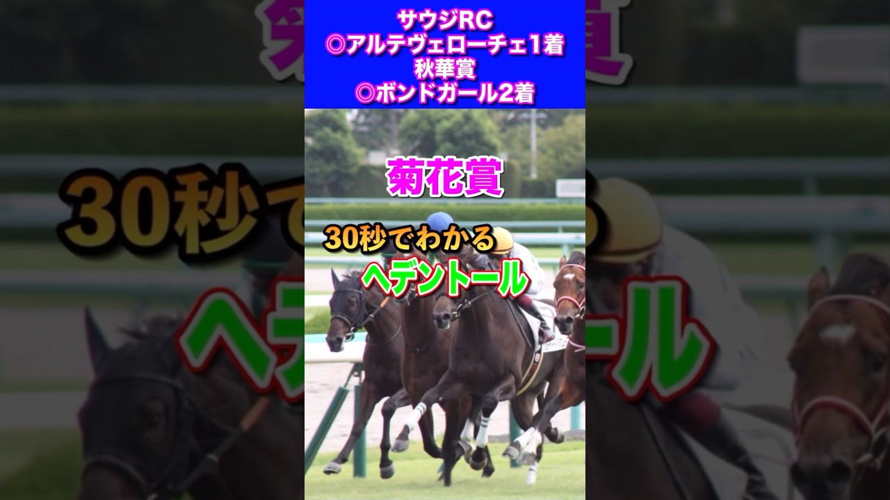 【菊花賞2024】30秒でわかるヘデントール